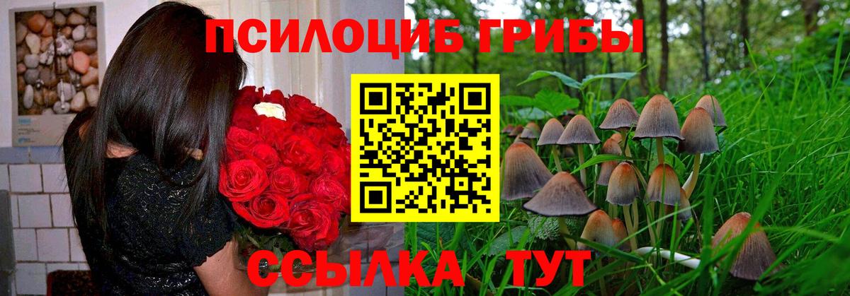 Псилоцибиновые грибы ЛСД Элиста