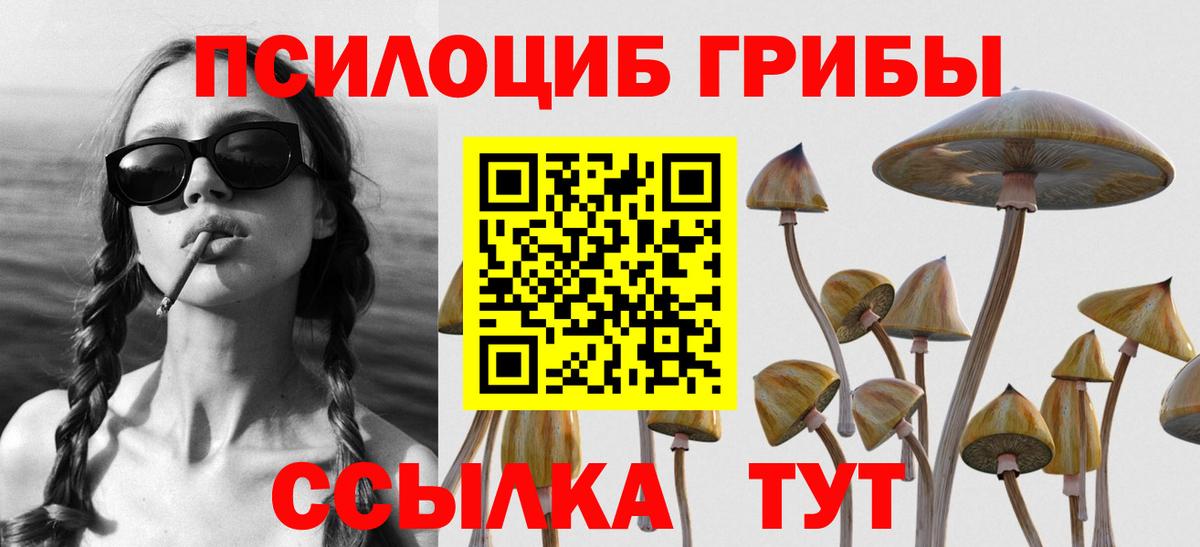 Элиста  Галлюциногенные грибы прущие грибы  Вход с VPN 